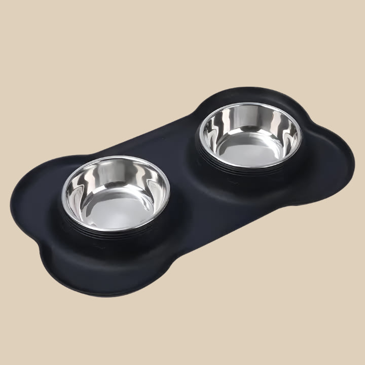 Stainless Steel Double Pet Bowl Set
