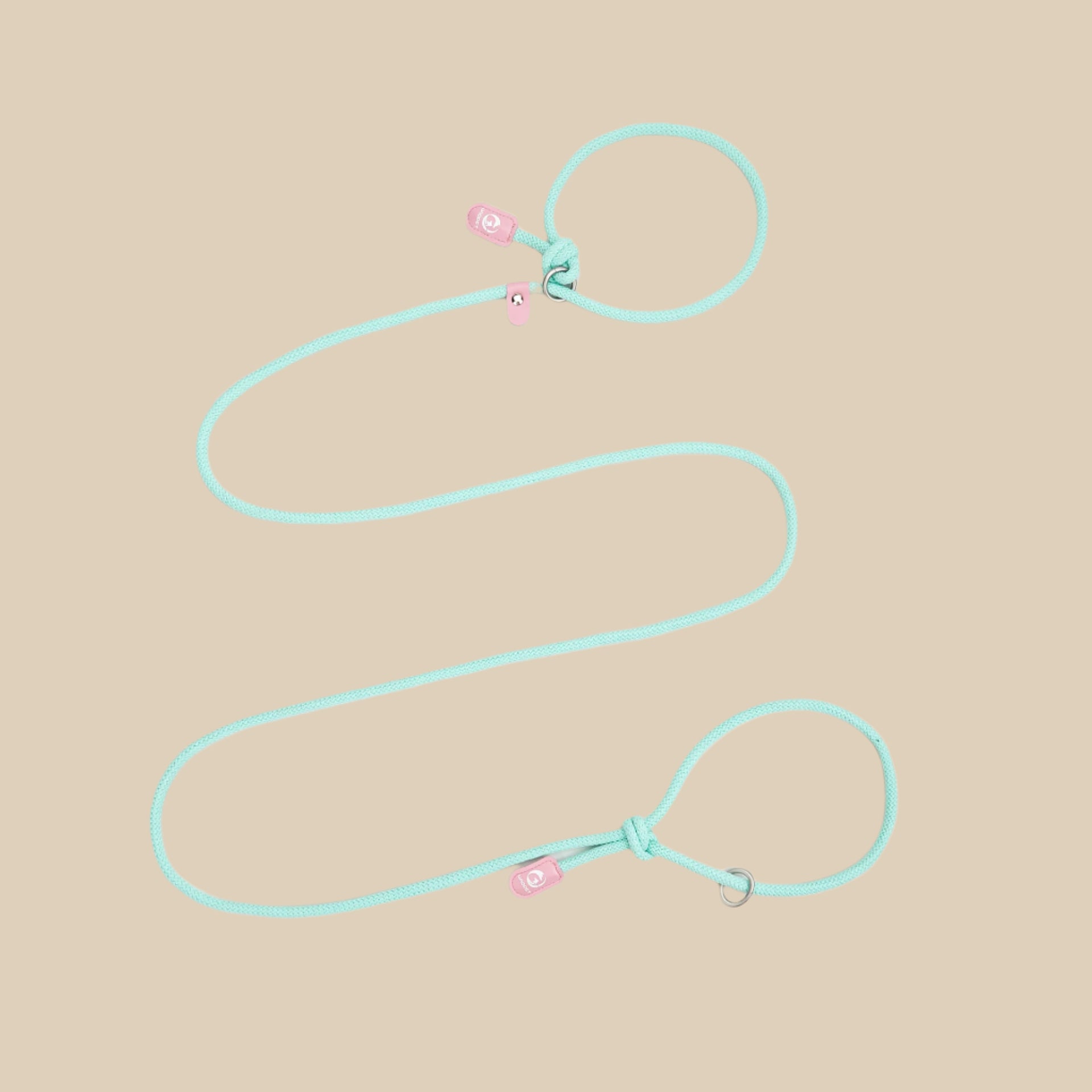 Adjustable Slip-On Dog Leashes