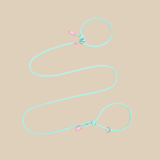Adjustable Slip-On Dog Leashes