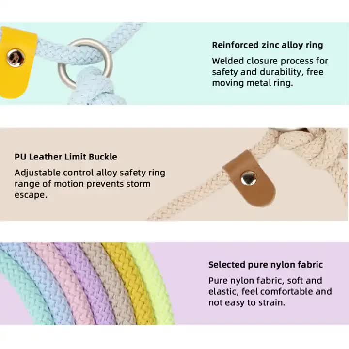 Adjustable Slip-On Dog Leashes