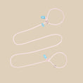 Load image into Gallery viewer, Adjustable Slip-On Dog Leashes
