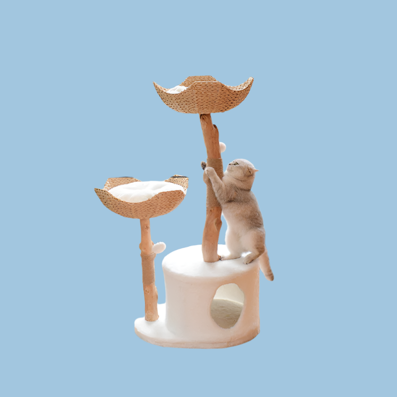 Solid Wood Cat Climbing Frame