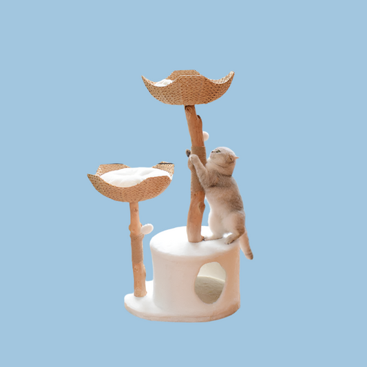 Solid Wood Cat Climbing Frame