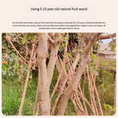 Load image into Gallery viewer, Solid Wood Cat Climbing Frame
