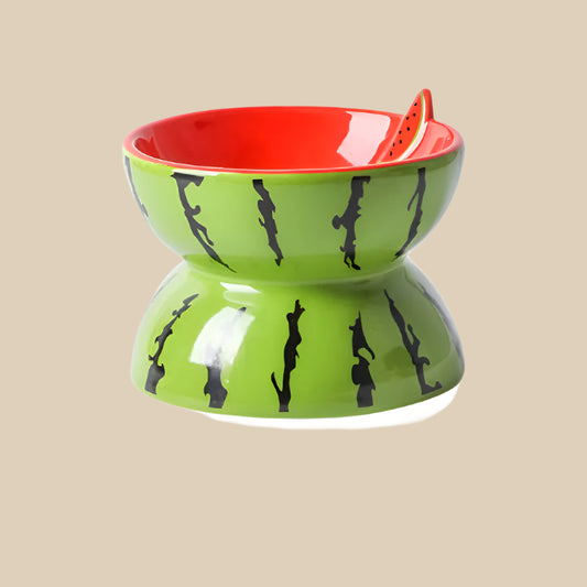 Ceramic Watermelon Food Bowl