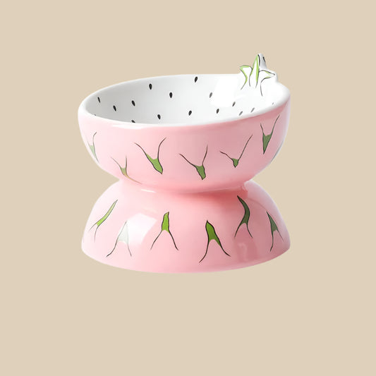 Ceramic Food Bowl