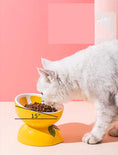 Load image into Gallery viewer, Ceramic Food Bowl
