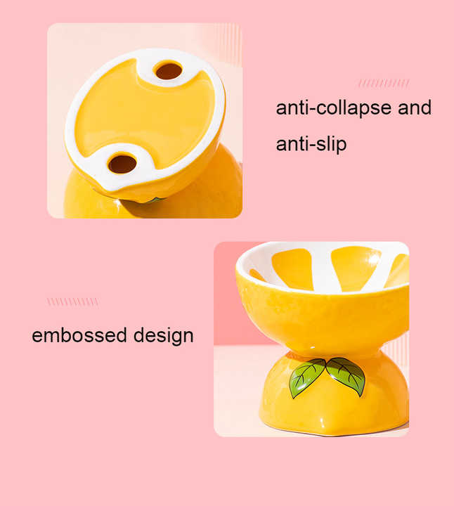 Ceramic Food Bowl