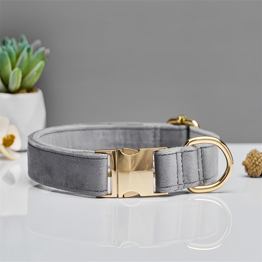 Grey Collar with Metal Buckle