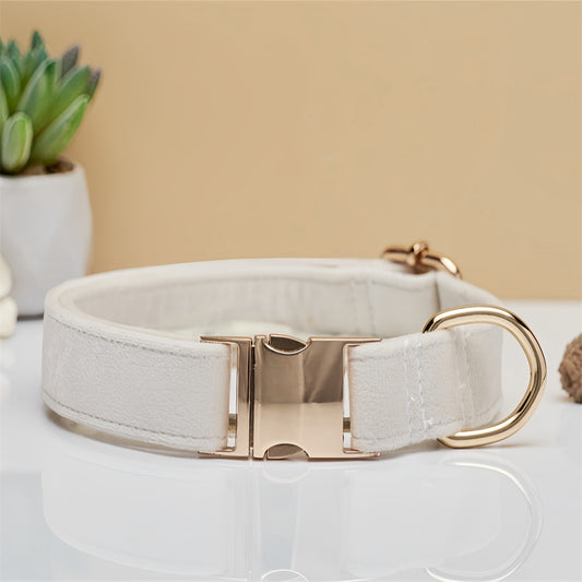 Beige Collar with Metal Buckle