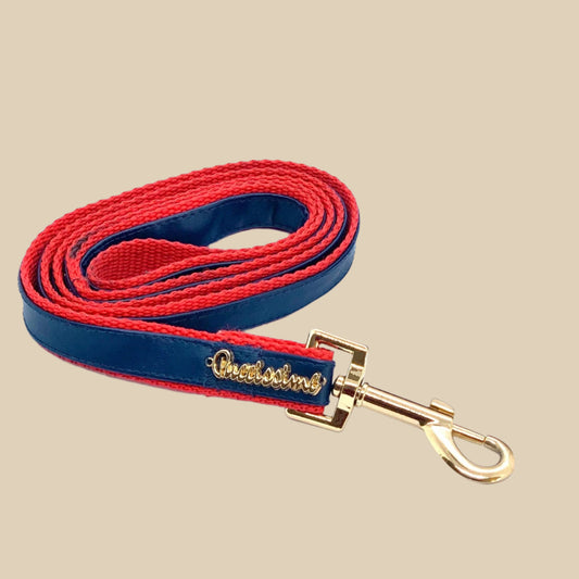 Cardinal Leash