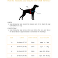 Load image into Gallery viewer, Aurelia One-Click Dog Harness
