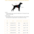 Load image into Gallery viewer, Cardinal One-Click Dog Harness
