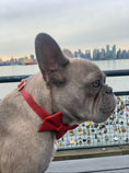 Load image into Gallery viewer, Cherry Red Leather Collar
