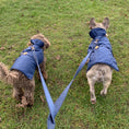 Load image into Gallery viewer, Navy Rain Jacket
