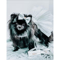 Load image into Gallery viewer, Diva One-Click Dog Harness
