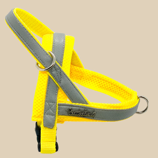 Morning Mist One-Click Dog Harness