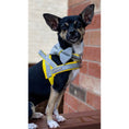 Load image into Gallery viewer, Morning Mist One-Click Dog Harness
