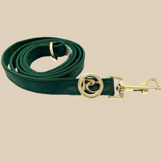 Green Rain Matching Leash