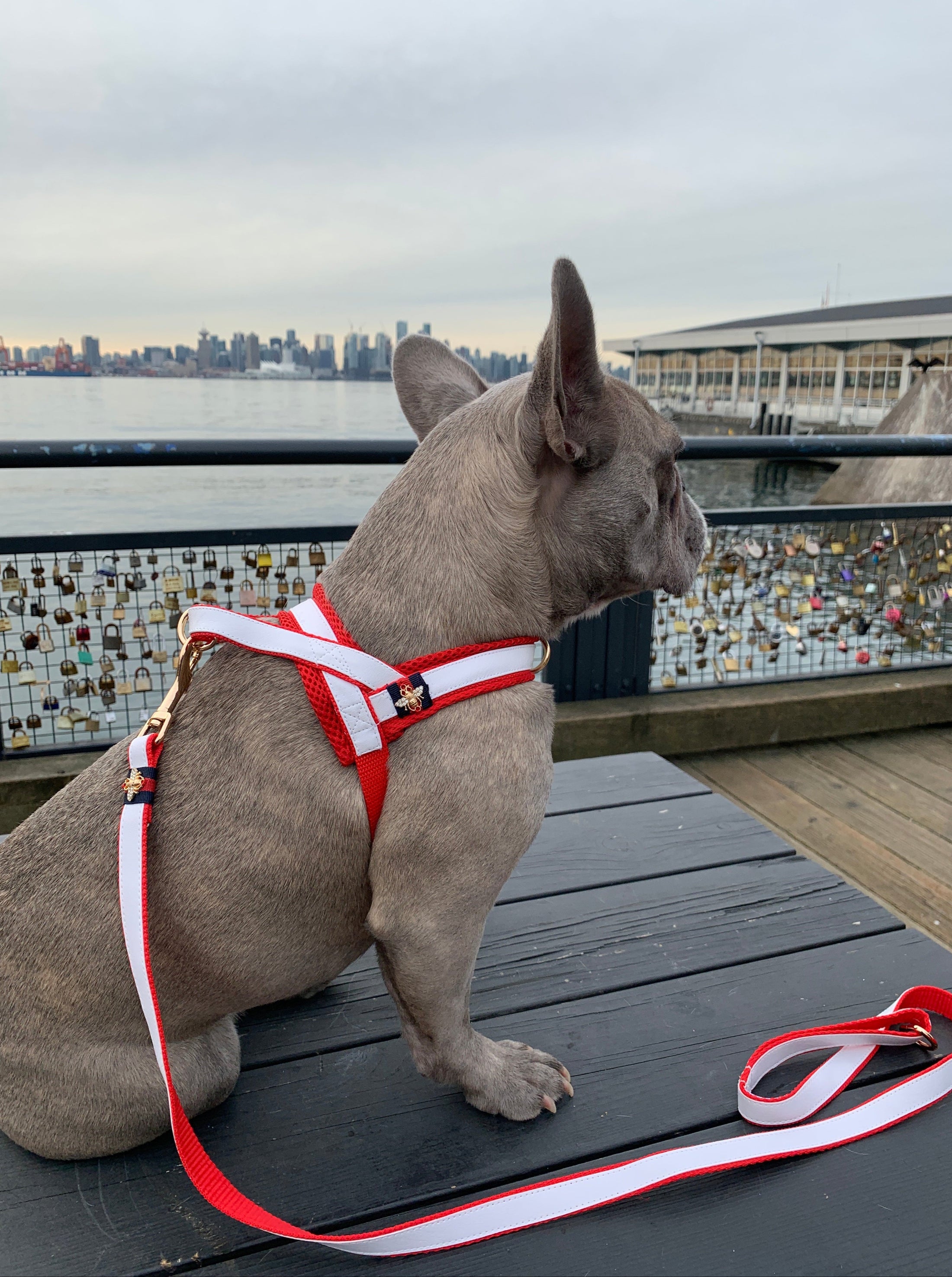 La Parisienne One-Click Dog Harness