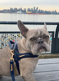 Load image into Gallery viewer, Neptune Collar
