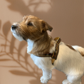 Load image into Gallery viewer, Medallion One-Click Dog Harness
