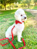 Load image into Gallery viewer, Cherry Red Leather Leash
