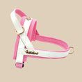Load image into Gallery viewer, My Baby Girl One-Click Dog Harness
