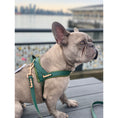 Load image into Gallery viewer, Jade One-Click Dog Harness
